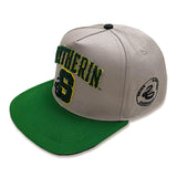 Slytherin College - Snapback Cap